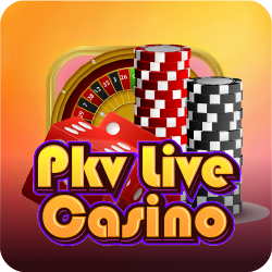 PKV Live Casino